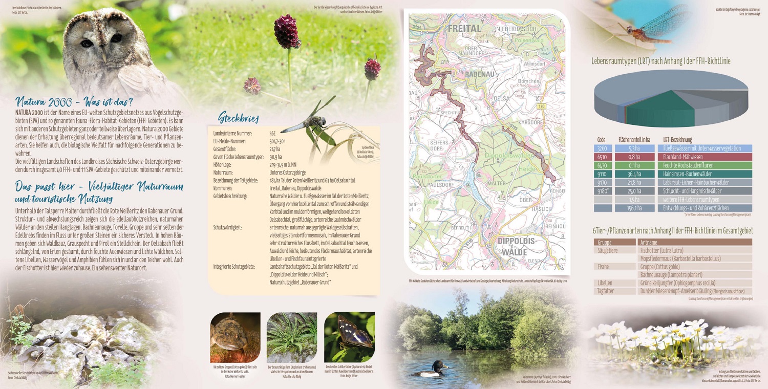 tl_files/downloads/Bilder Projekte/Projektstellen/Natura 2000 2.0/Flyer/Gebietsflyer_Taeler_RoteWeisseritz_2.jpg